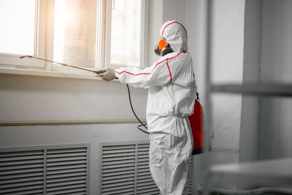 Professional mold remediation services in Cudahy, WI